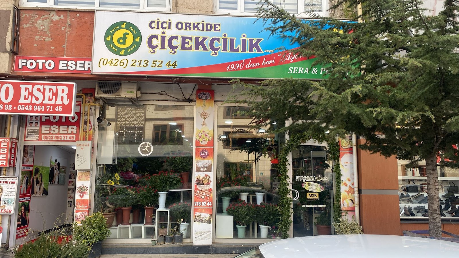Cici Orkide Çiçekçilik