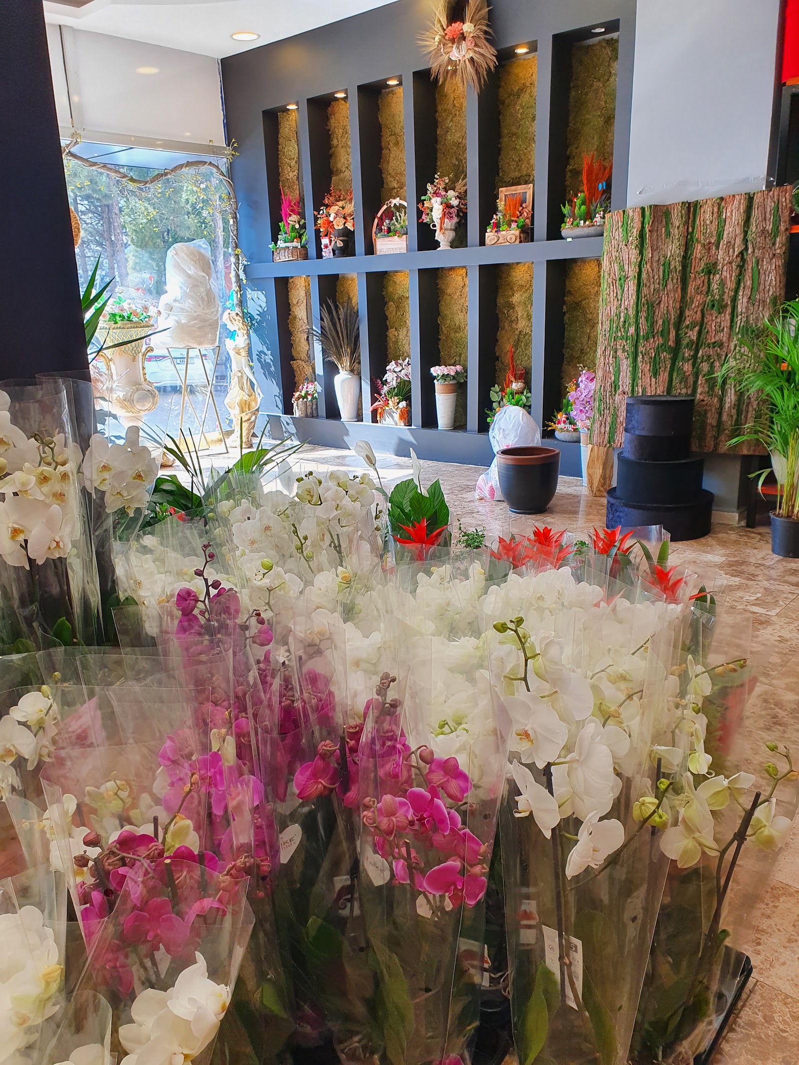 Jardin de Flores Çiçek