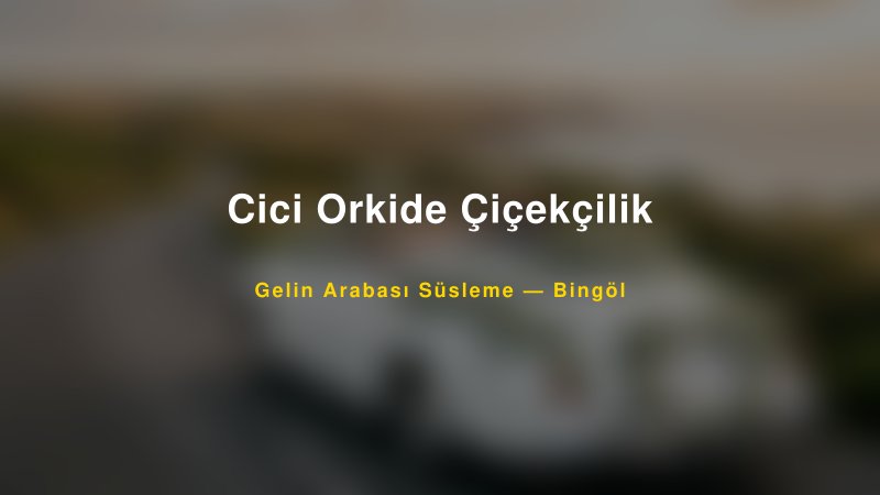Cici Orkide Çiçekçilik Bingöl Gelin Arabası Süsleme