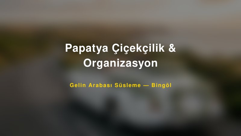 Papatya Çiçekçilik & Organizasyon Bingöl Gelin Arabası Süsleme